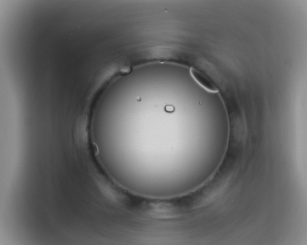 X0000114140395200910081309