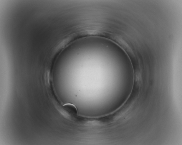 X0000114140397200910081309