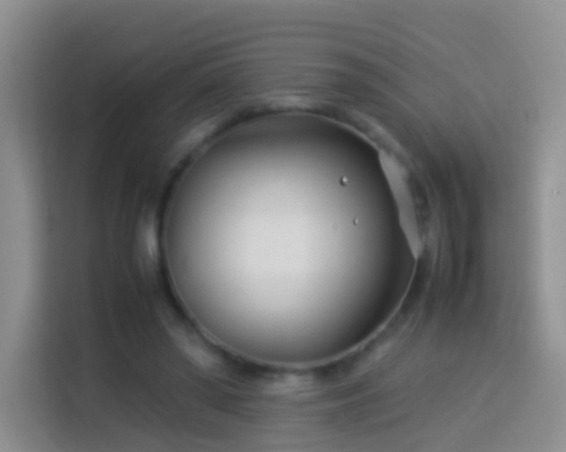 X0000114140398200910081309