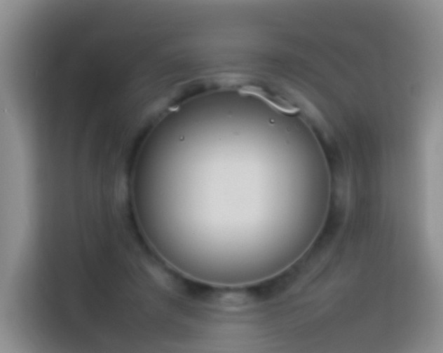 X0000114140401200910081309