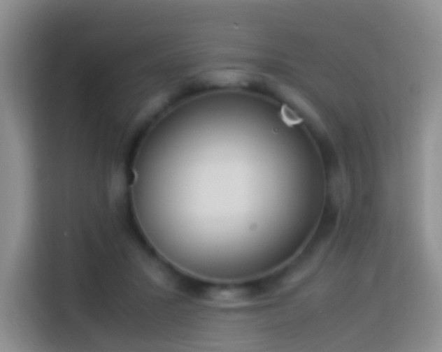 X0000114140407200910081309