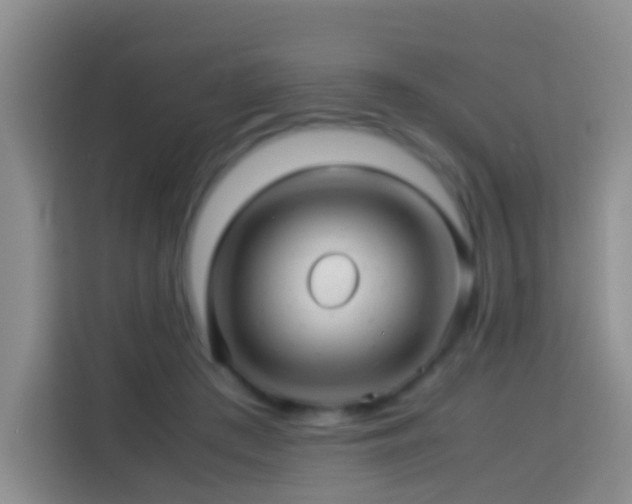 X0000114140409200910081309