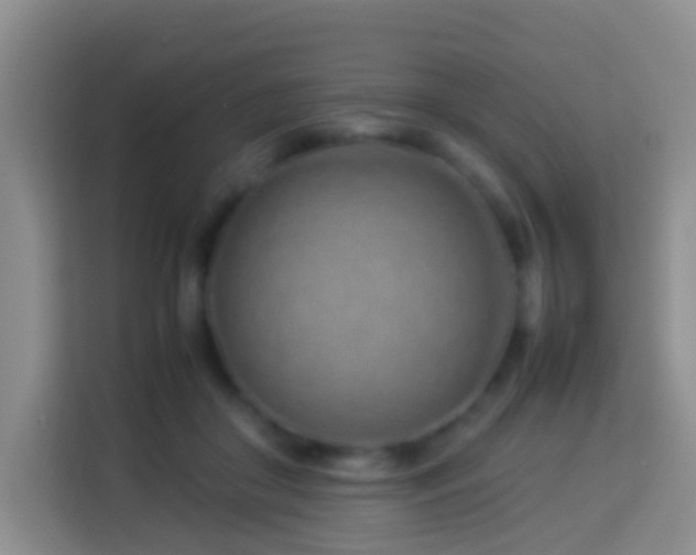 X0000114140410200910081309