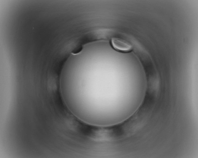 X0000114140413200910081309