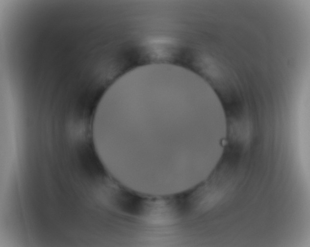 X0000114140419200910081309