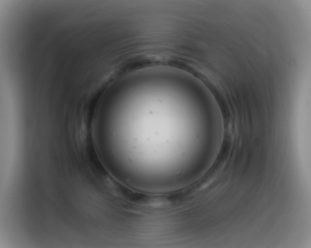 X0000114140424200910081309