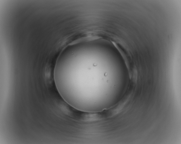 X0000114140428200910081308