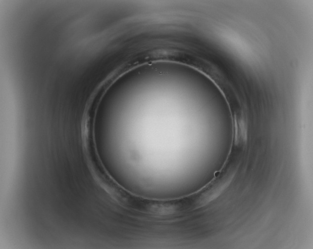 X0000114140435200910081308