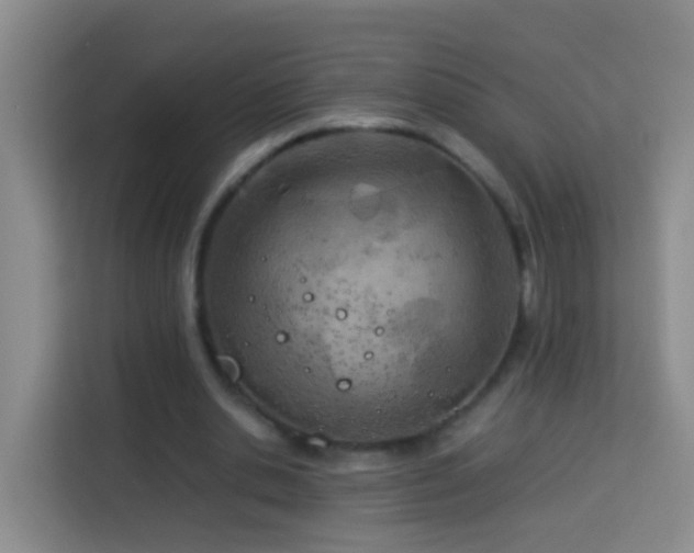 X0000114140438200910081308