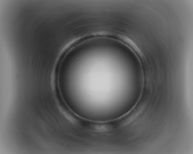 X0000114140439200910081308