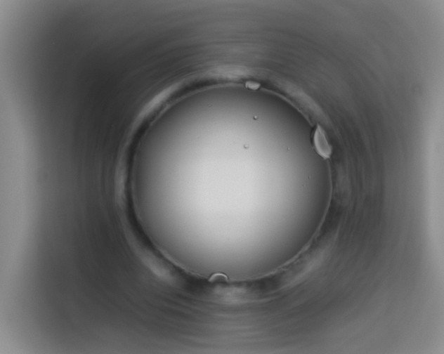 X0000114140440200910081308