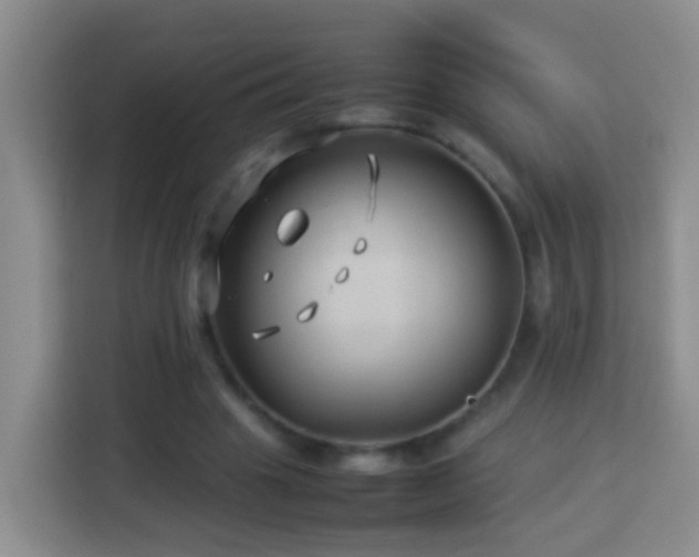 X0000114140441200910081308