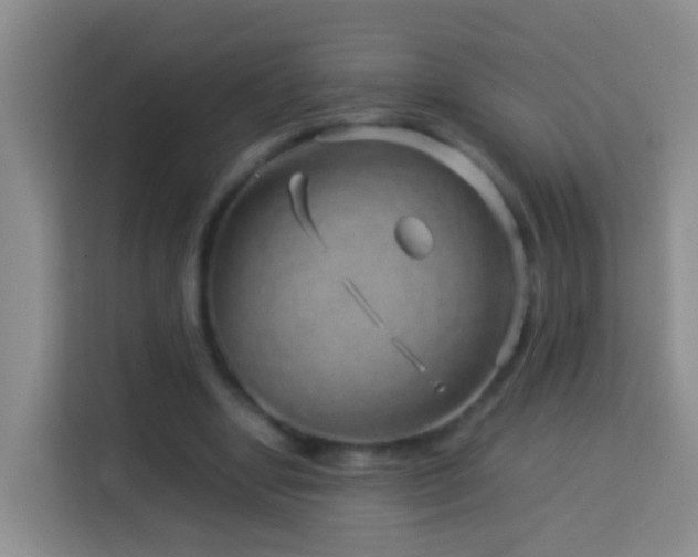 X0000114140442200910081308