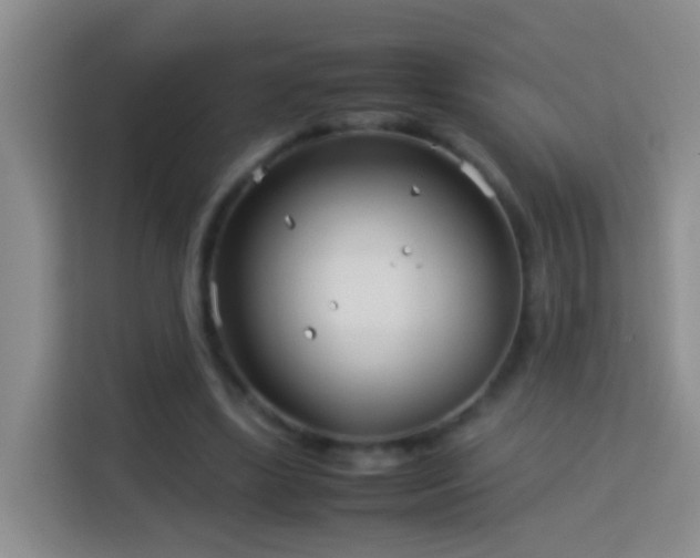 X0000114140443200910081308