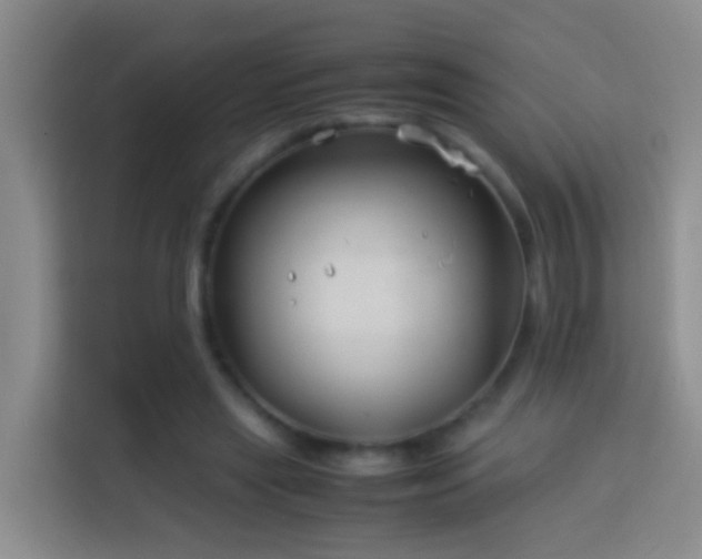 X0000114140445200910081308