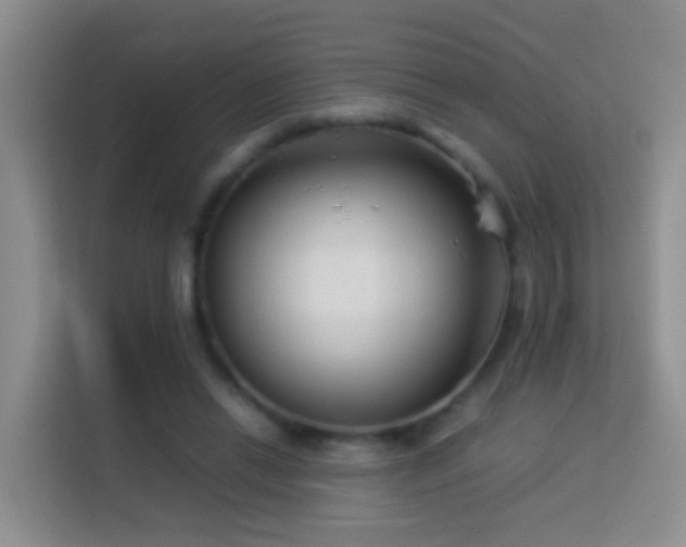 X0000114140446200910081308