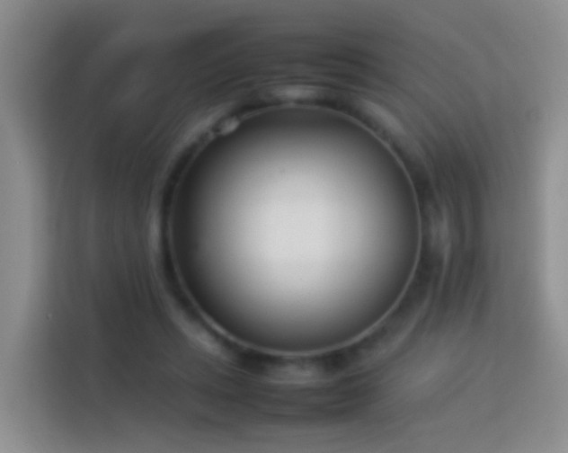 X0000114140447200910081308