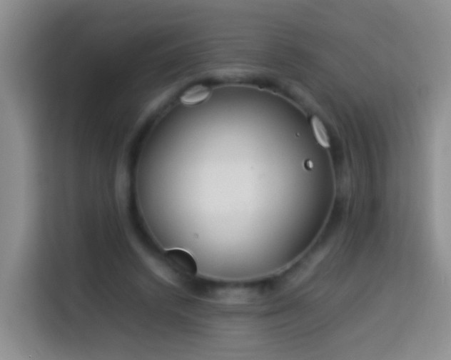 X0000114140448200910081308