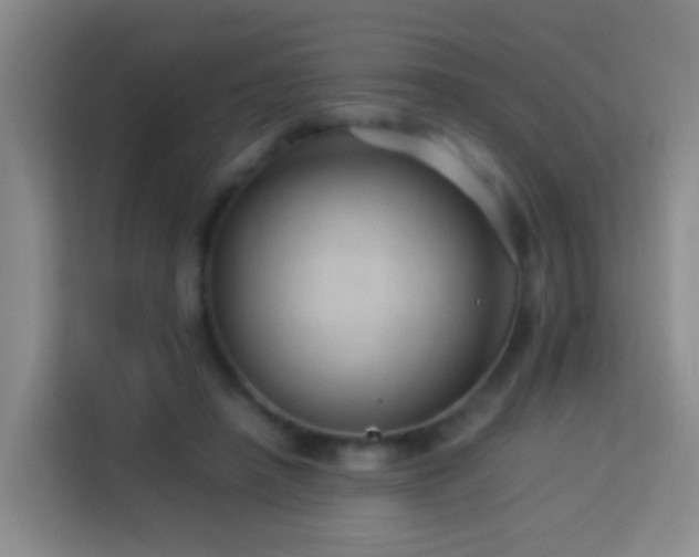 X0000114140450200910081308