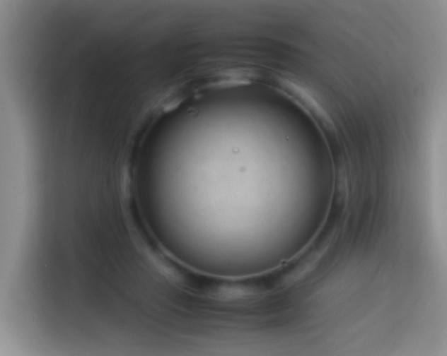 X0000114140453200910081308