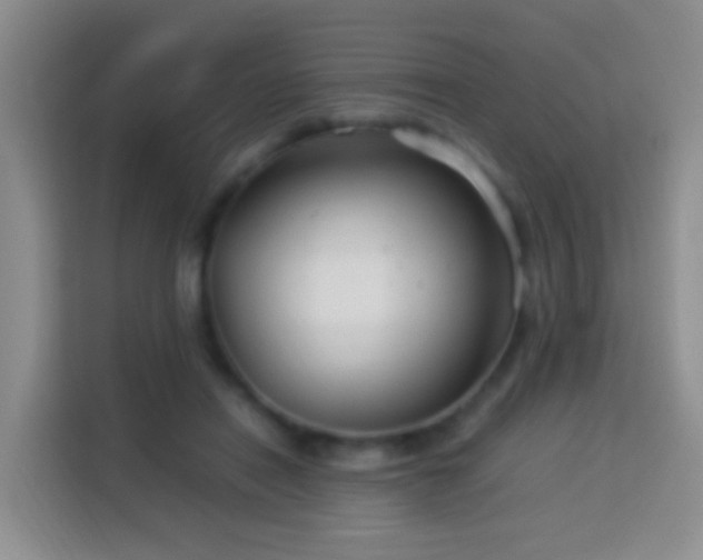 X0000114140454200910081308