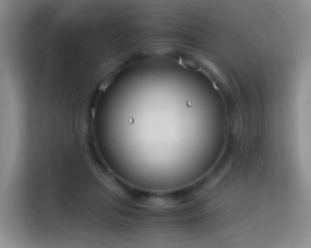 X0000114140455200910081308