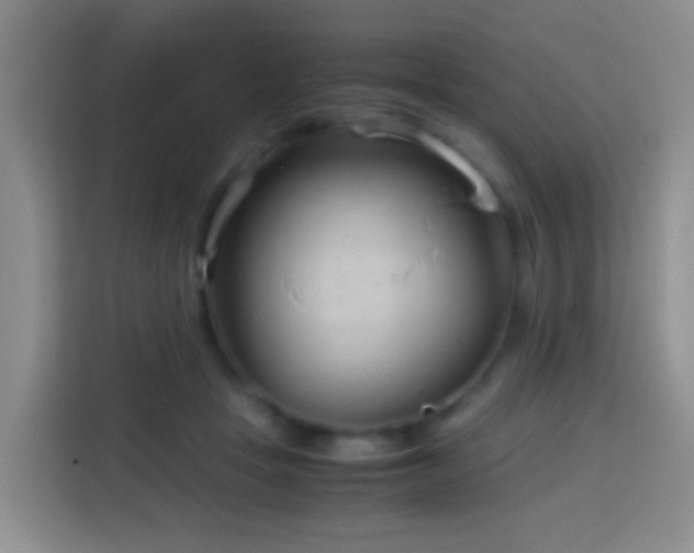 X0000114140457200910081308