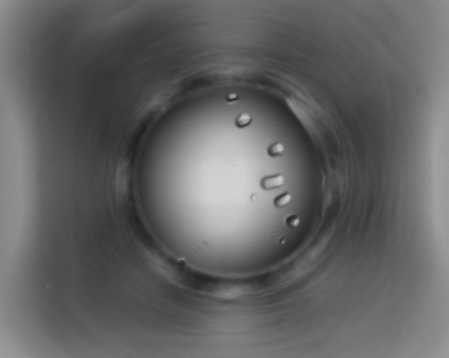 X0000114140458200910081308