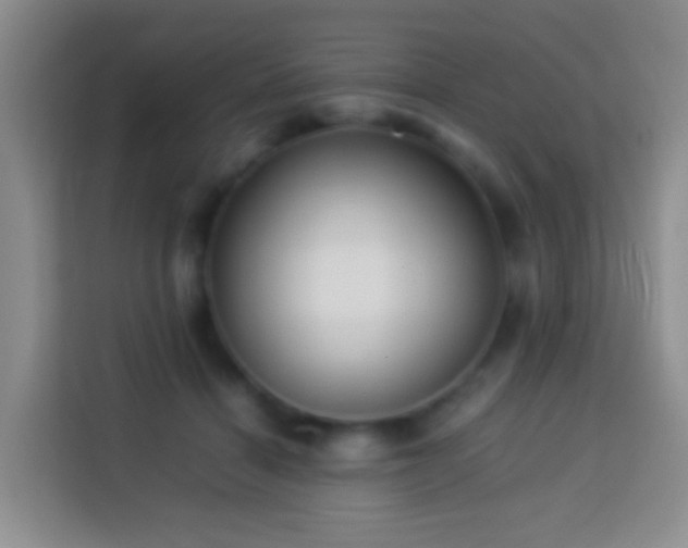 X0000114140460200910081308