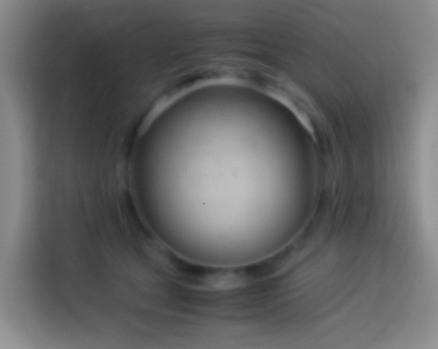 X0000114140465200910081308