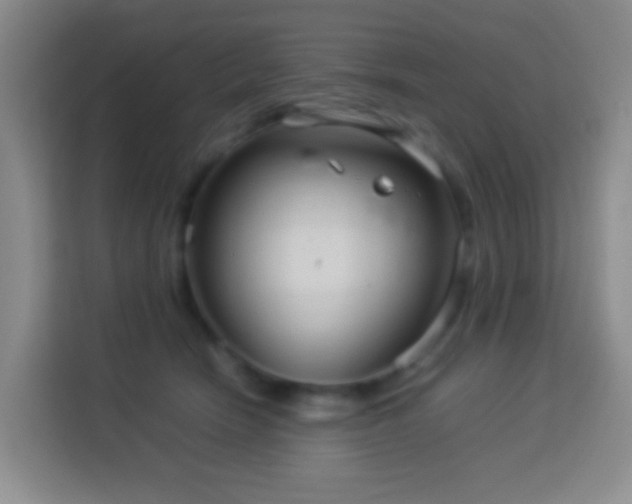 X0000114140466200910081308