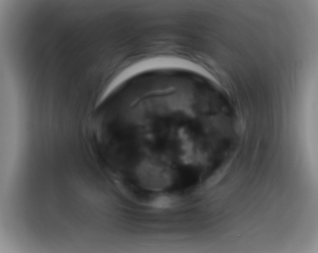 X0000114140471200910081308