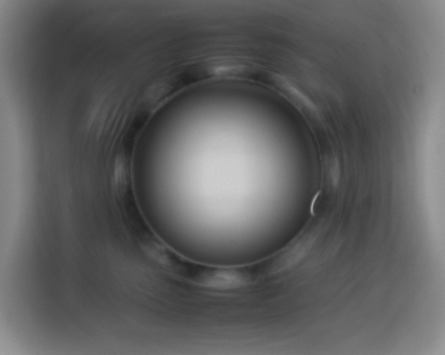 X0000114140475200910081308