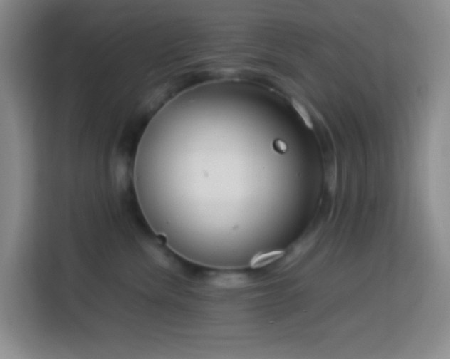 X0000114140476200910081308