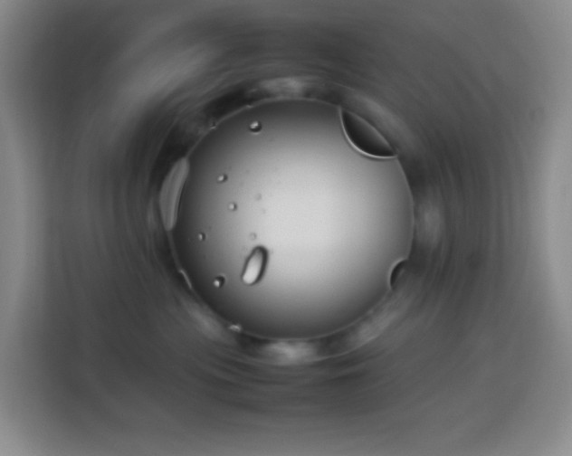 X0000114140477200910081308