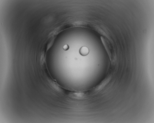 X0000114140478200910081308