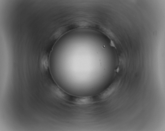 X0000114140479200910081308