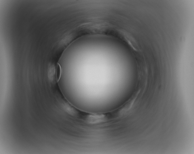 X0000114140480200910081308