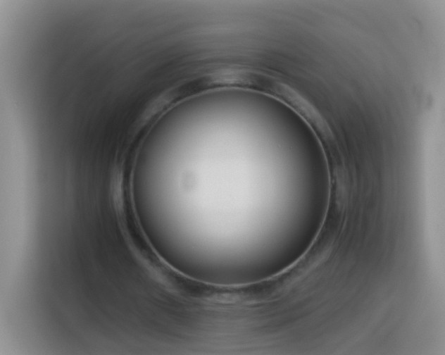 X0000114140482200910081308