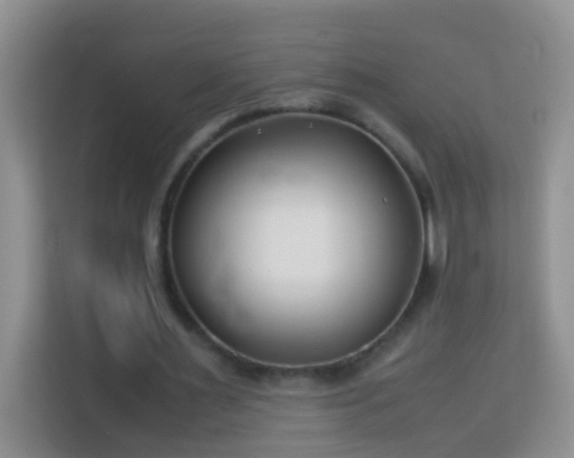 X0000114140483200910081308