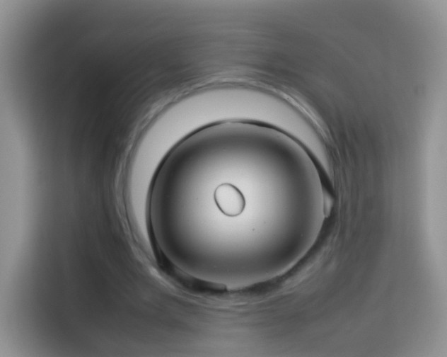 X0000114140485200910081308