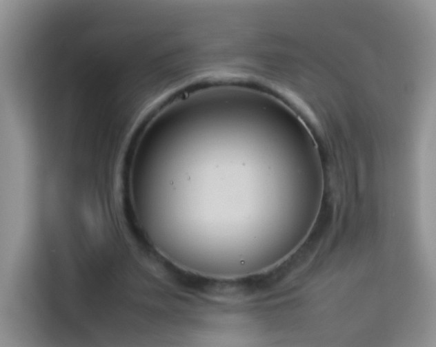 X0000114140487200910081308