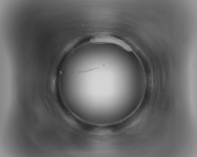 X0000114140491200910081308