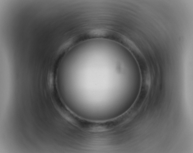 X0000114140494200910081308