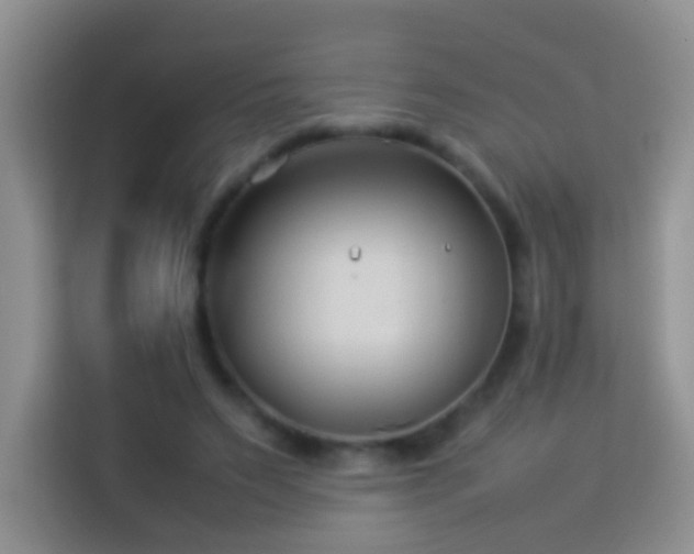 X0000114140495200910081308