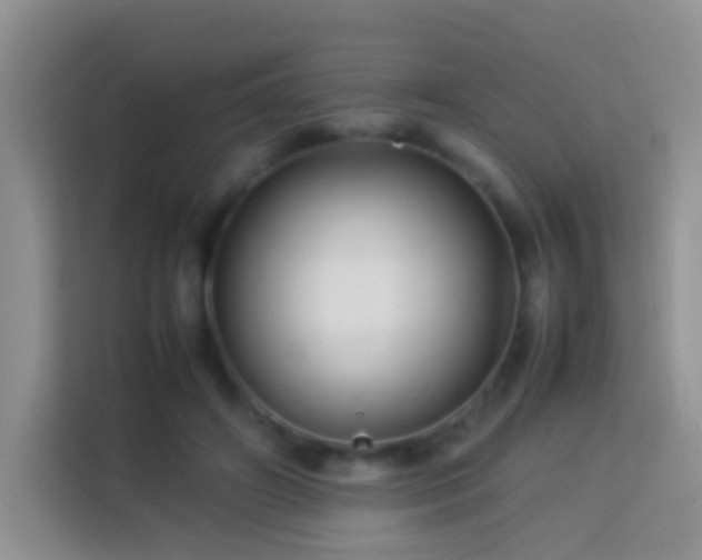 X0000114140498200910081308