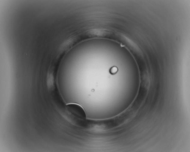 X0000114140500200910081308