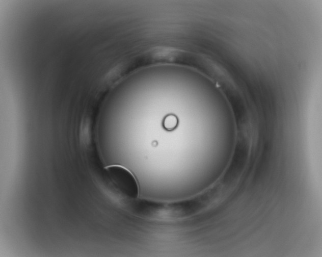 X0000114140504200910081307