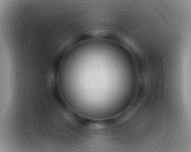 X0000114140506200910081307