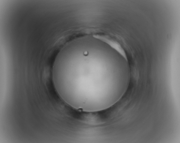 X0000114140511200910081307